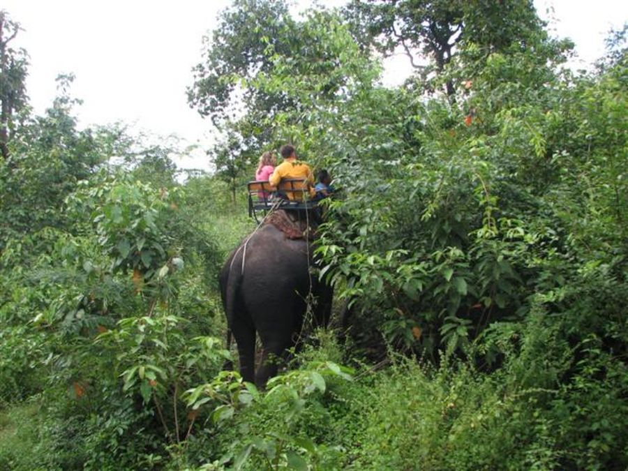 Riding the elephants
